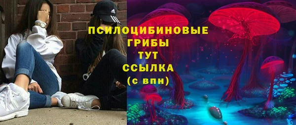 MDMA Premium VHQ Гвардейск